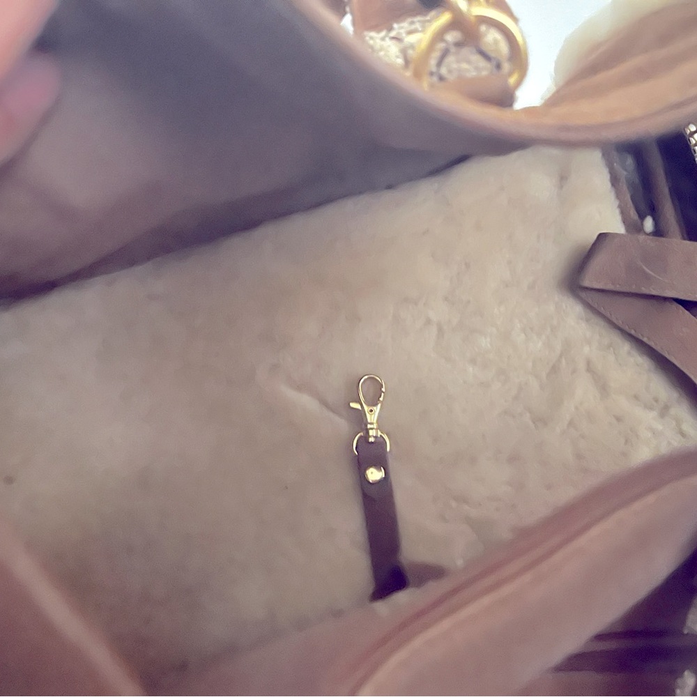Ugg puppy bag